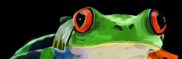 Frosch-by-kleinErdbeer